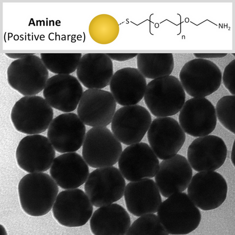 Amine Functionalized Gold NanoSpheres