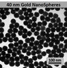 40nm AuNP - Gold NanoSpheres PEGylated