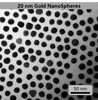 20nm NanoSpheres - NanoHybrids Top Gold Nanoparticles
