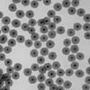 Enhanced Silica Coated Gold Nanoparticles