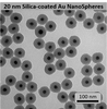 20nm Silica Coated Gold Nanospheres - Top Silica AuNPs