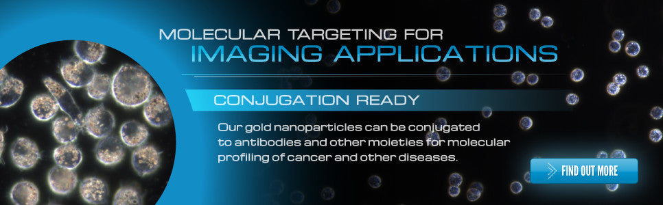 Antibody Conjugated Gold Nanoparticles