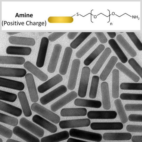 Amine Functionalized Gold NanoRods