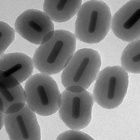 Silica-Coated Gold NanoRods